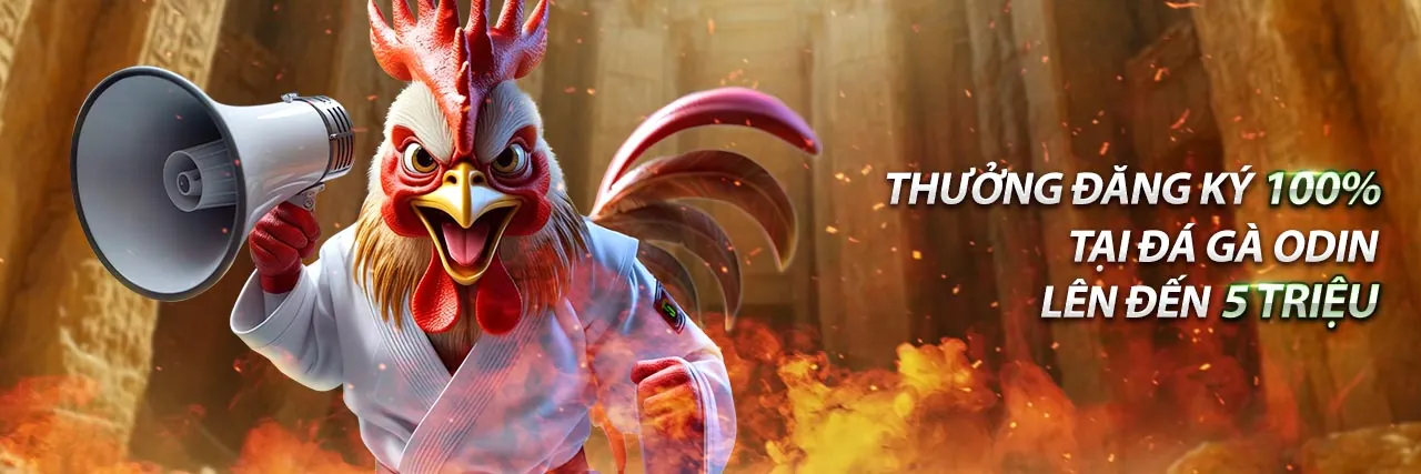 Cá cược thể thao tại KU CASINO DK với các trận đấu lớn và ưu đãi hấp dẫn