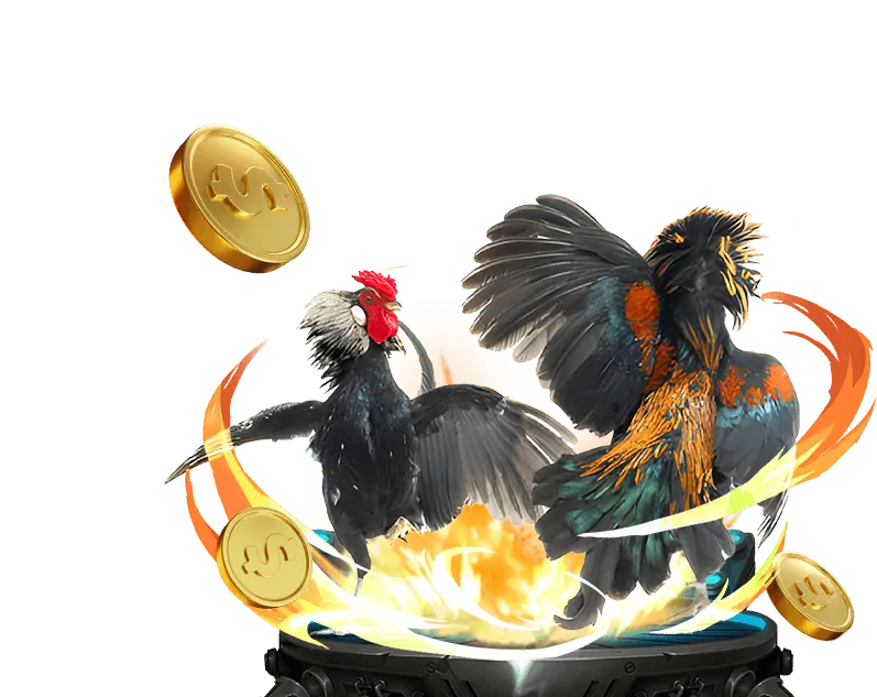 Hướng dẫn chơi đá gà ku casino dk